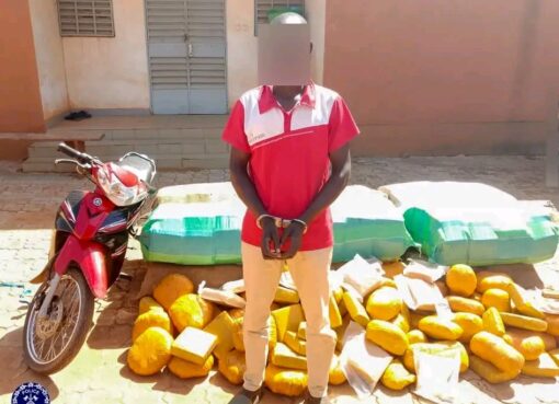 La Police Nationale saisit plus de 500 kg de chanvre indien à Kaya et Ouagadougou.